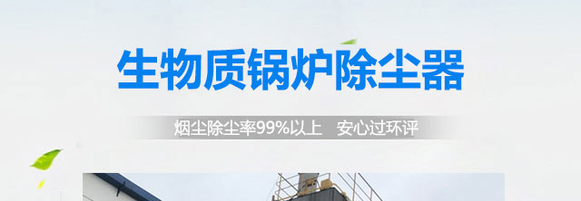 生物質鍋爐除塵器(圖2) 生物質鍋爐除塵器(圖2)